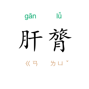 肝膂