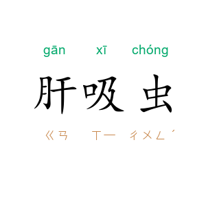 肝吸虫