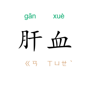 肝血