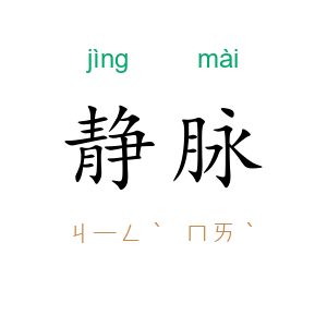 静脉