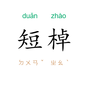短棹