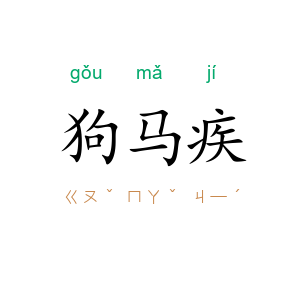 狗马疾