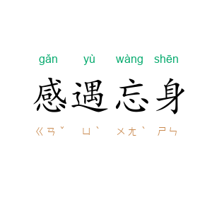 感遇忘身