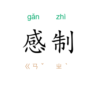 感制