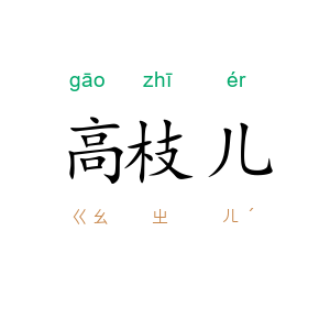 高枝儿