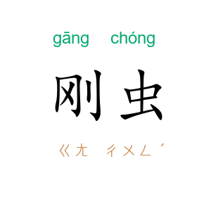 刚虫