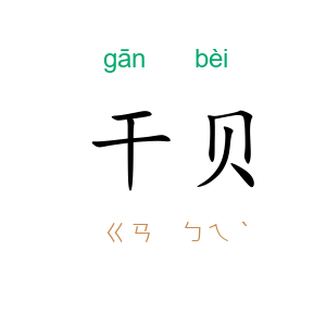 干贝
