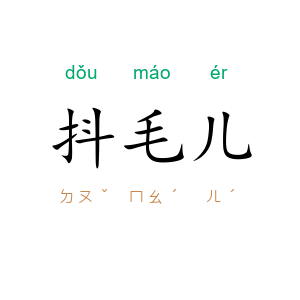 抖毛儿