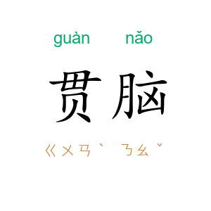 贯脑