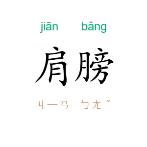 肩膀