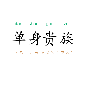 单身贵族