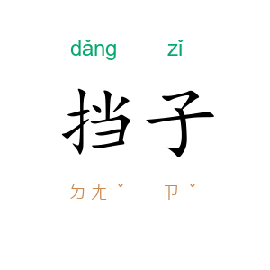 挡子