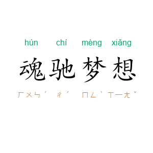 魂驰梦想