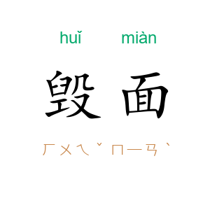 毁面