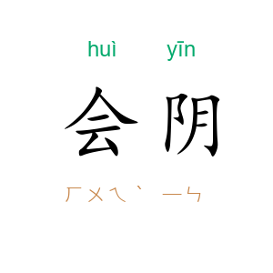 会阴