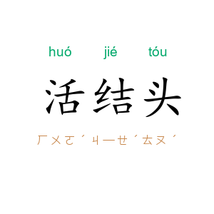 活结头