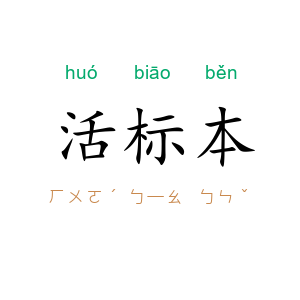 活标本