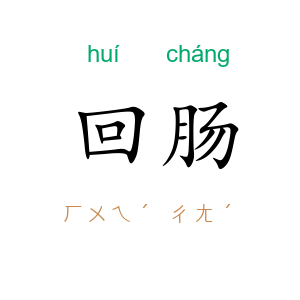 回肠