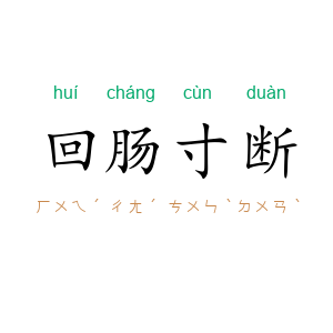 回肠寸断