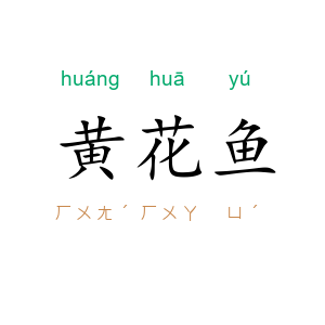 黄花鱼