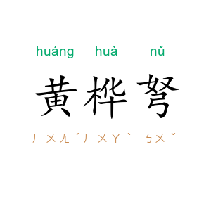 黄桦弩