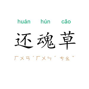 还魂草