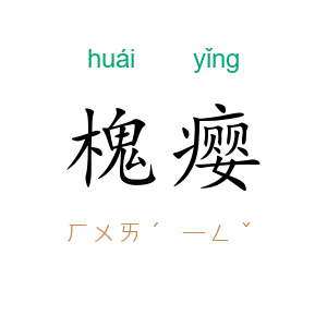 槐瘿