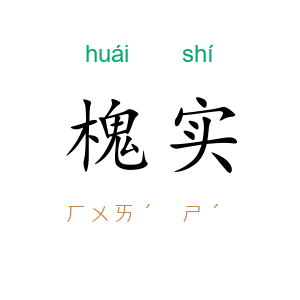 槐实