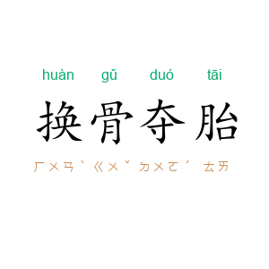 换骨夺胎
