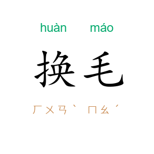换毛