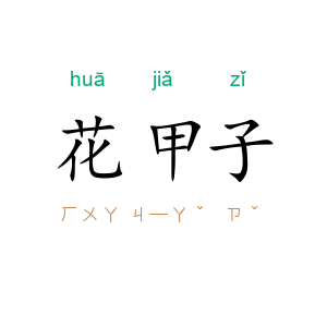 花甲子