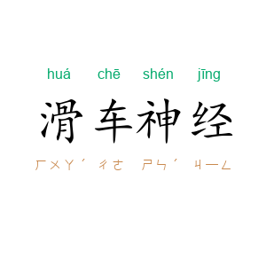 滑车神经