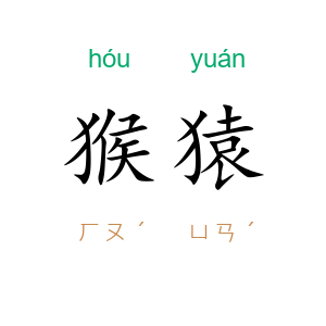 猴猿
