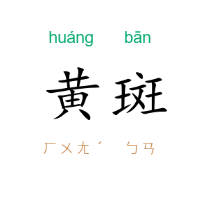 黄斑
