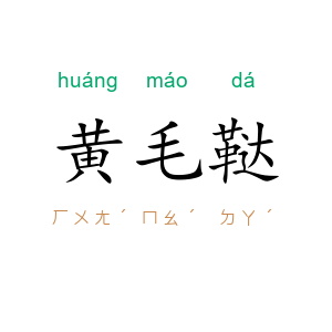 黄毛鞑