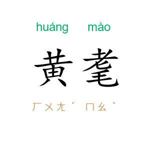 黄耄