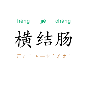 横结肠