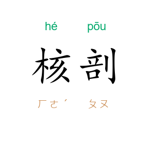 核剖
