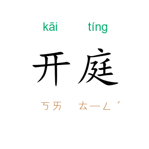 开庭