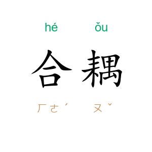 合耦