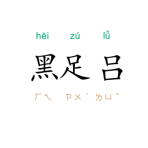 黑足吕