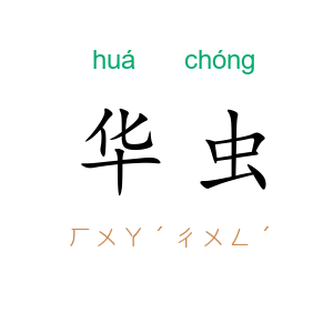 华虫