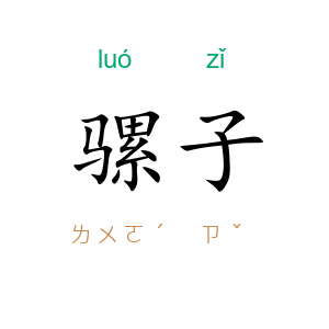 骡子