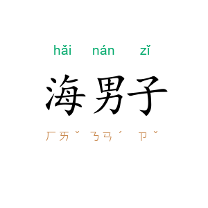 海男子
