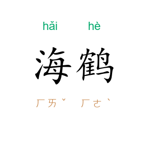 海鹤
