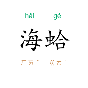 海蛤