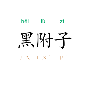 黑附子