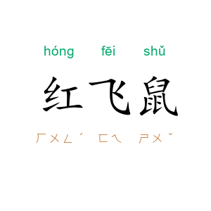 红飞鼠