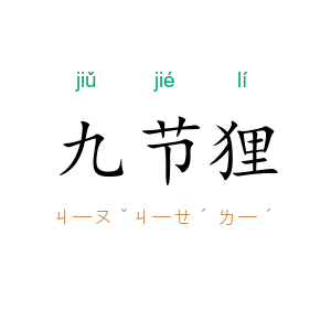 九节狸