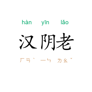 汉阴老
